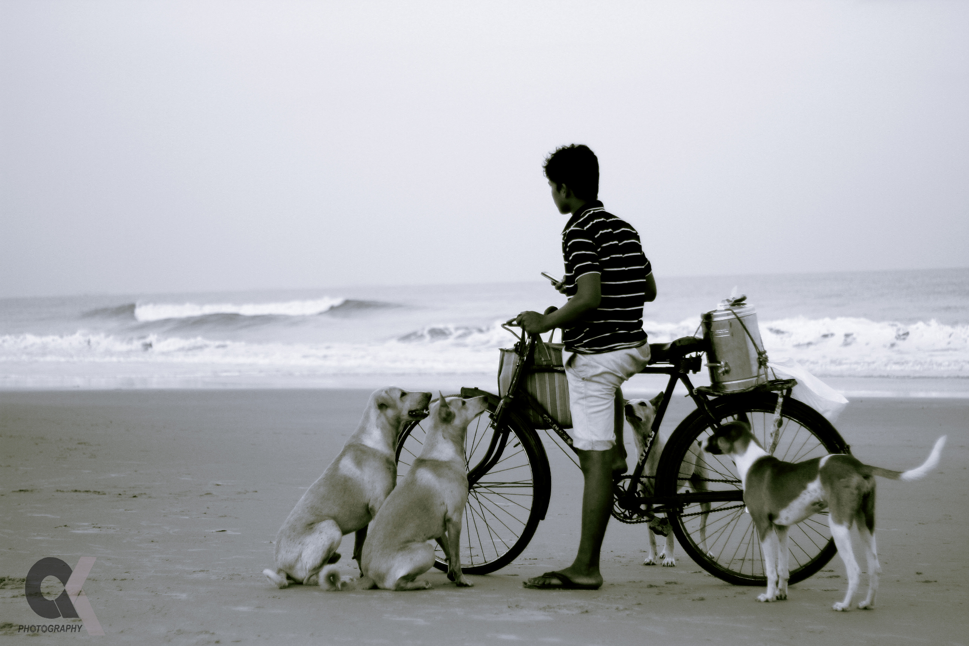 A young vendor on a bicycle with stray dogs on a quiet beach.